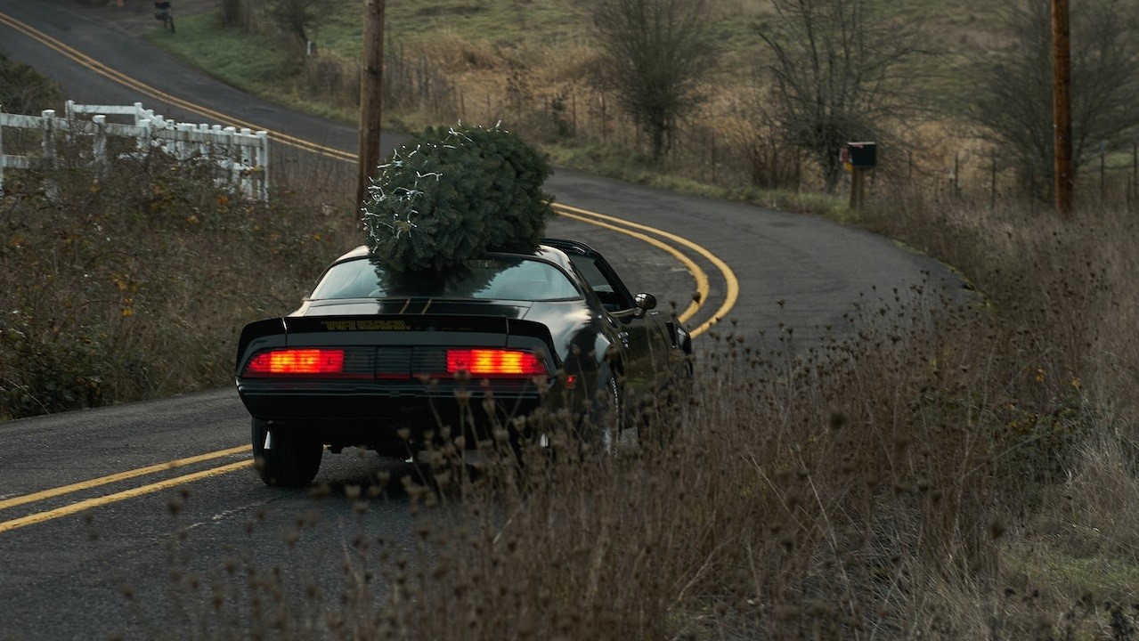 Christmas tree on top of car | Goodwill Car Donations