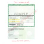 minnesota dmv duplicate title minnesota dmv duplicate title