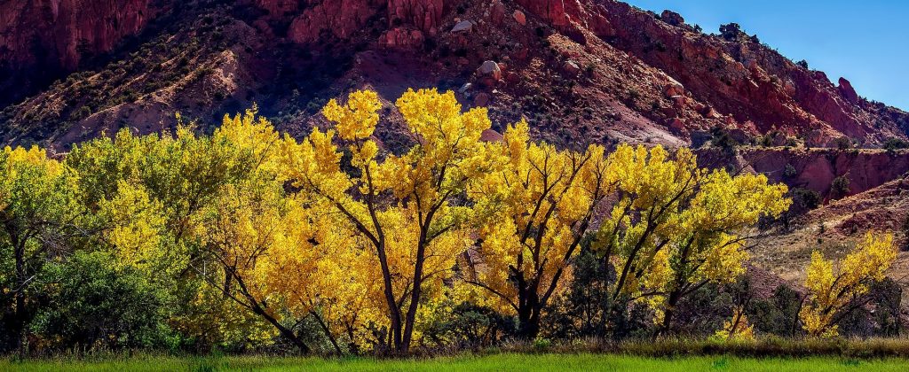 Autumn in New Mexico - GoodwillCarDonation.org
