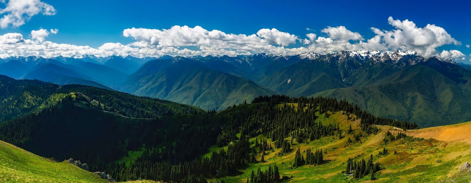 Car Donation Washington State Goodwill Car Donation