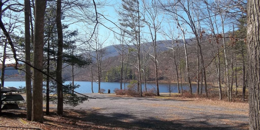 Nature in Lake of the Woods, Virginia | Goodwill Car Donations