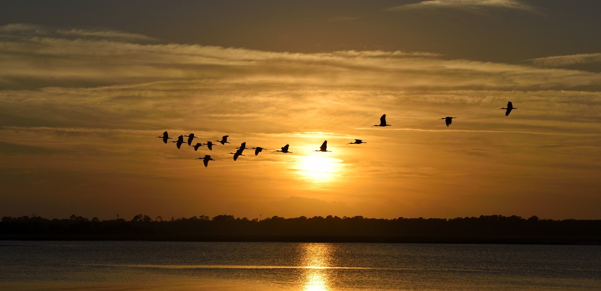 Miramar Beach, Florida Car Donations | Goodwill Car Donations