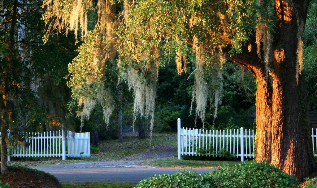 Easley, South Carolina Car Donations Goodwill Car Donations