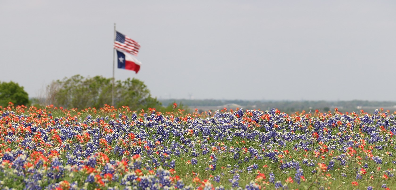 Spring, Texas Car Donations | Goodwill Car Donations