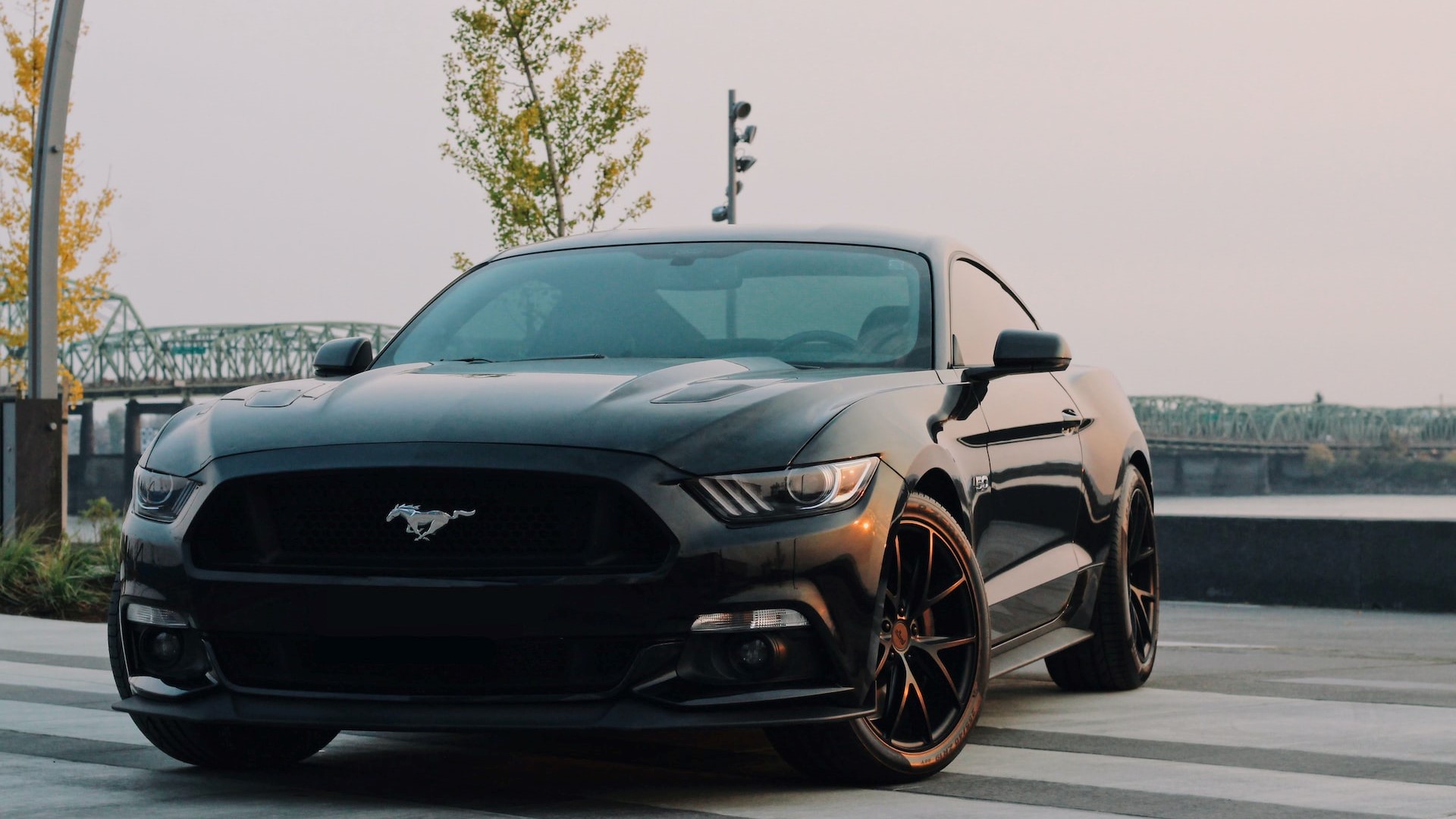 black Ford Mustang coupe parked near green tree photo | Goodwill Car Donations
