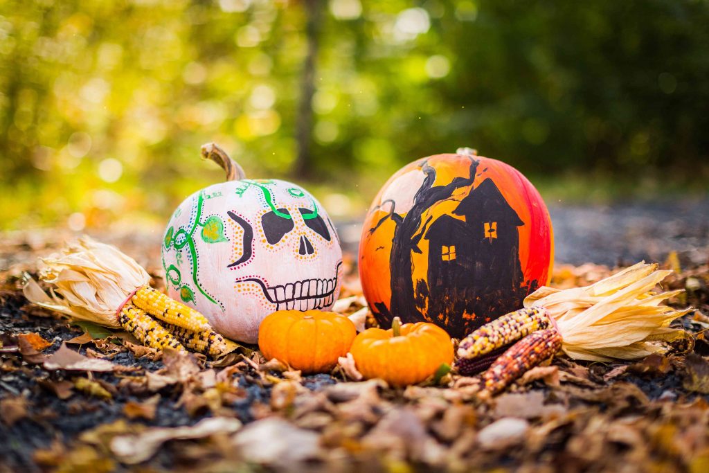 Fun Halloween Pumpkins Designs | Goodwill Car Donations