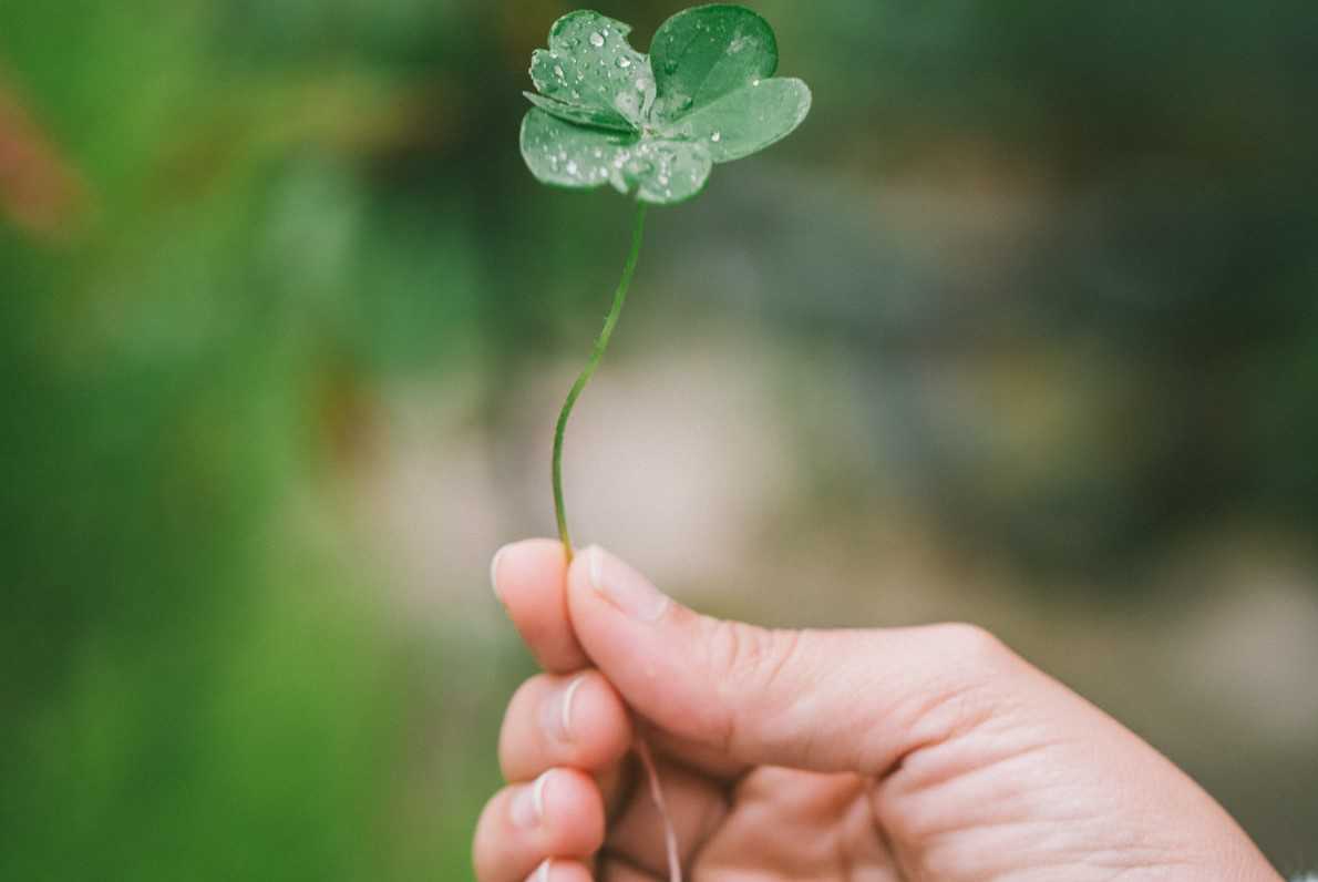 Five Leaf Clover | Goodwill Car Donations