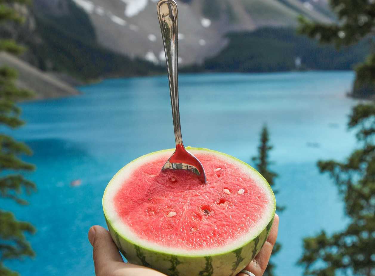 Watermelon in Summer | Goodwill Car Donations