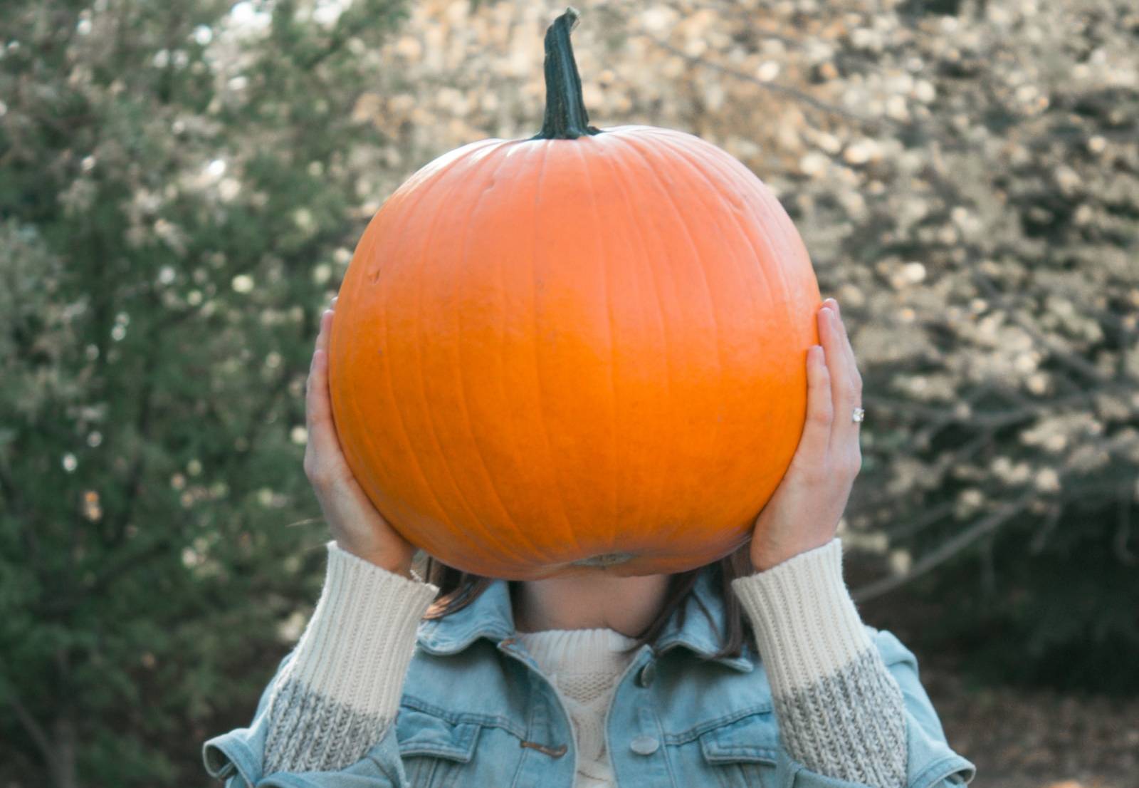 Person Holding a Pumpkin | Goodwill Car Donations
