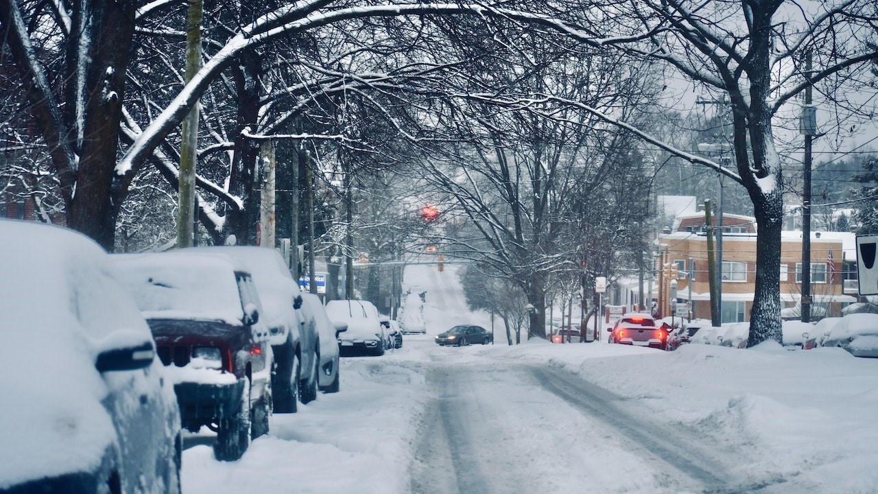 Snow Covered Road near Bare Trees | Goodwill Car Donations