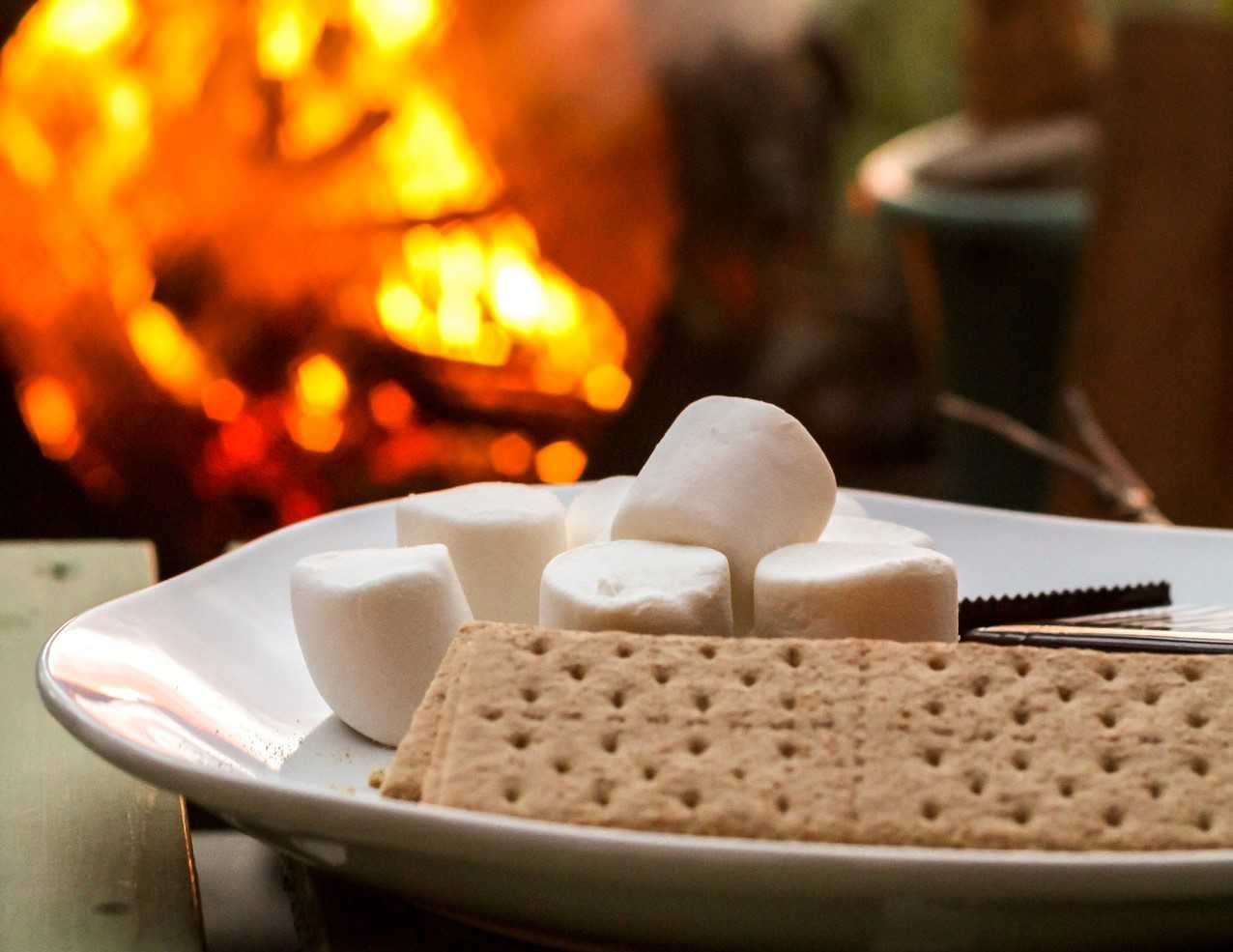 Preparing Smores Snack | Goodwill Car Donations