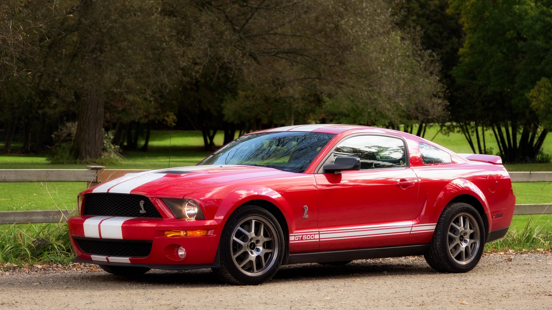 2007 Shelby GT500 | Goodwill Car Donations