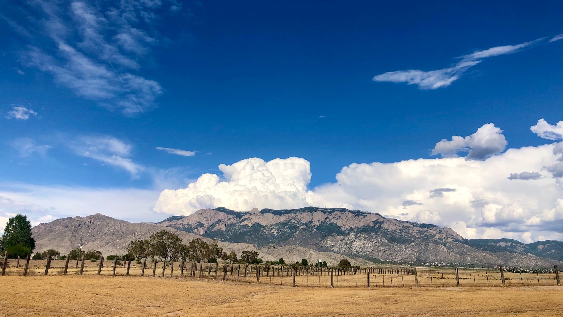 Green grass filed near mountain | Goodwill Car Donations