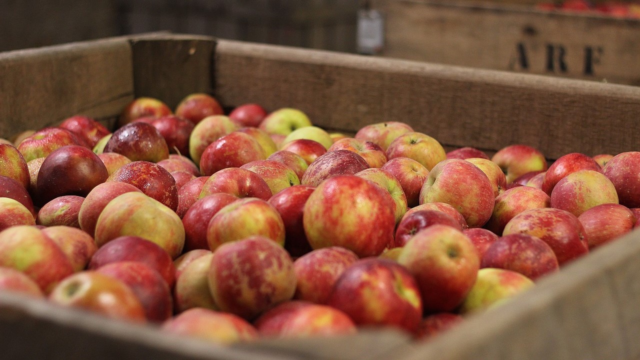 Healthy Freshness Apple | Goodwill Car Donations