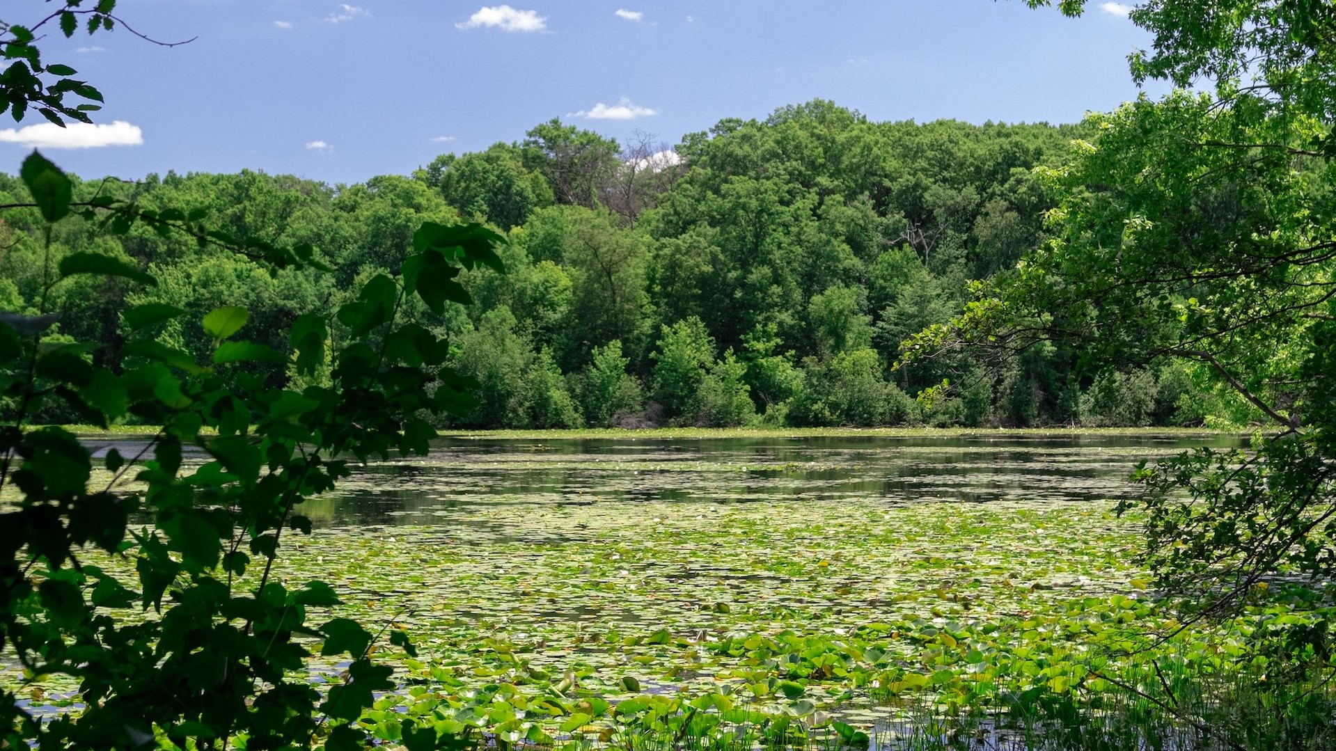 Lebanon hills regional park in eagan | Goodwill Car Donations