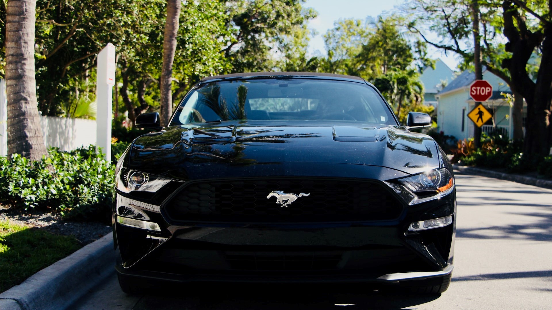 Mustang | Goodwill Car Donations