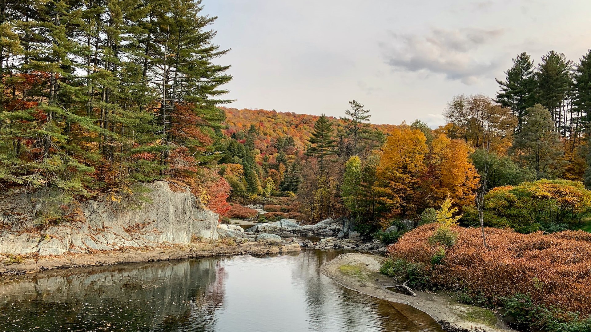 North Branch autumn reflections | Goodwill Car Donations