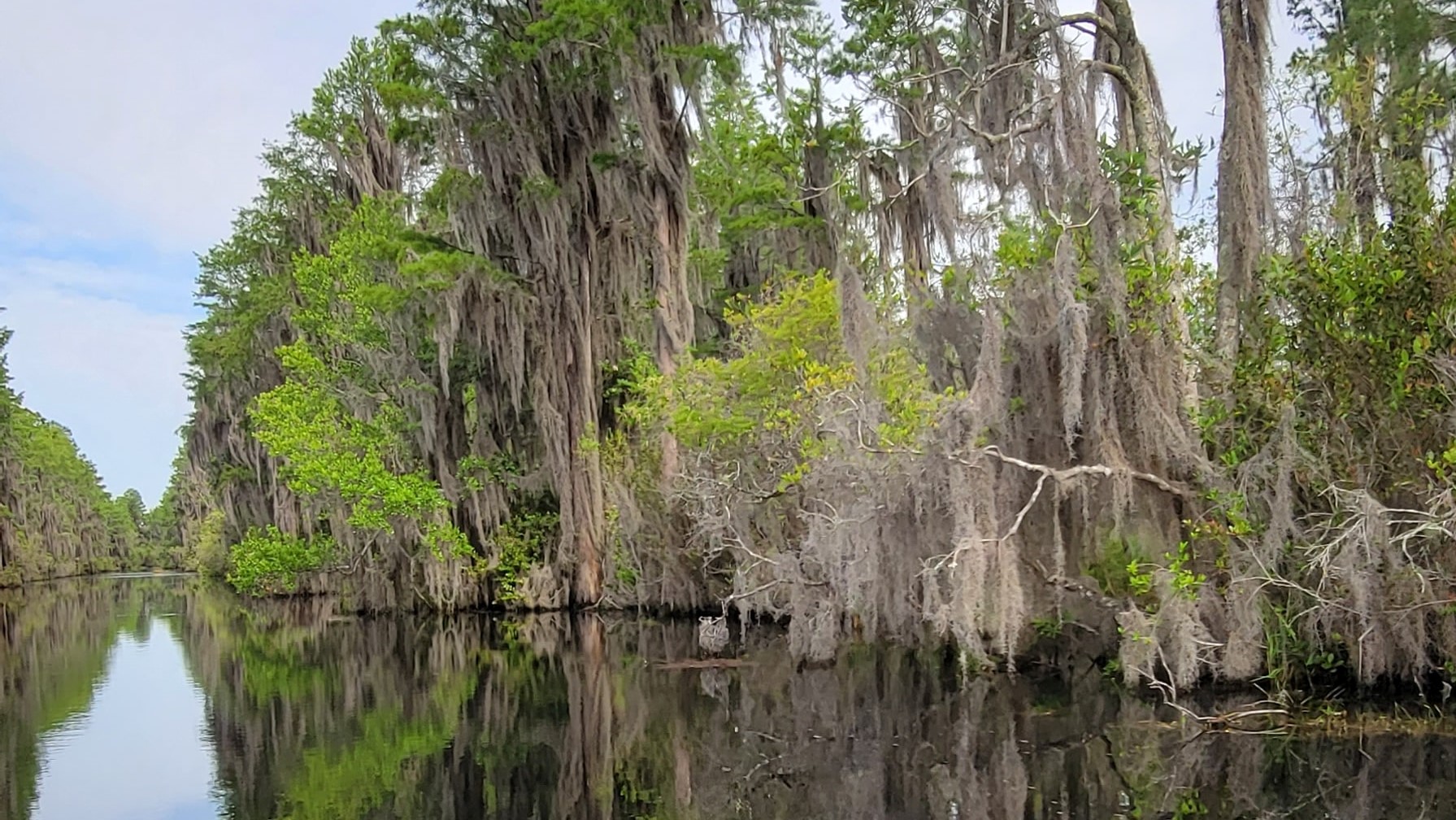 Okefenokee Swamp | Goodwill Car Donations
