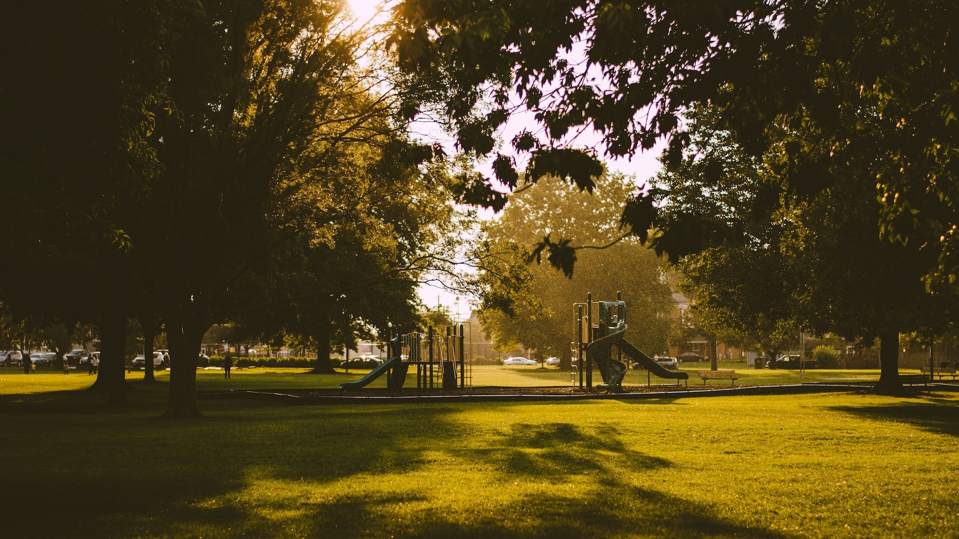 Park in the sunset in a summer day | Goodwill Car Donations