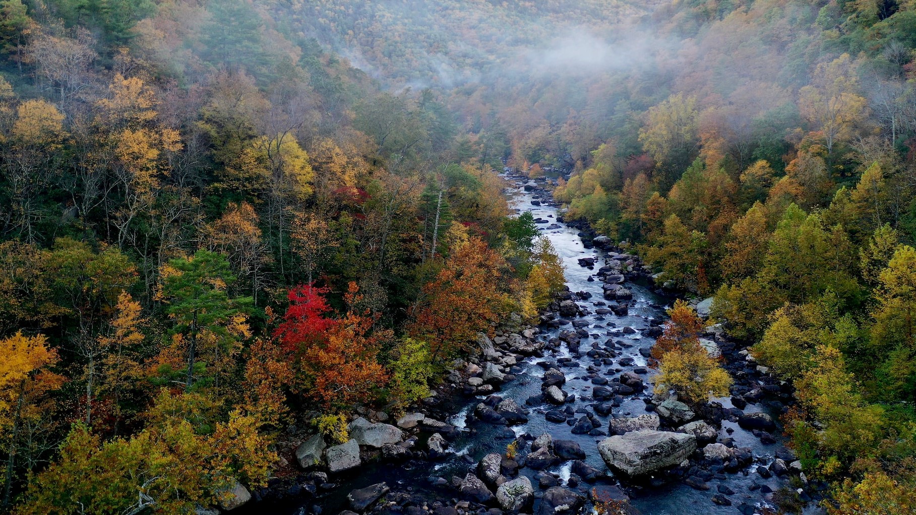River runs through fall trees in valley with clouds | Goodwill Car Donations