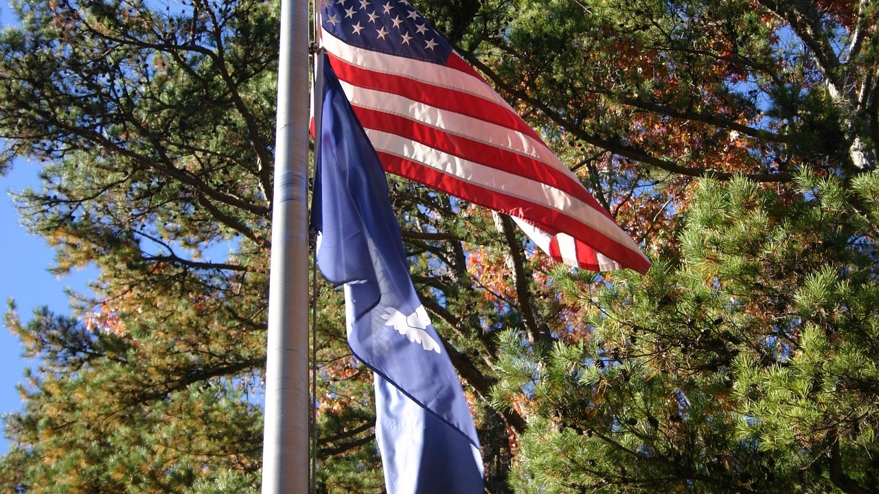South Carolina and US flag on a pole | Goodwill Car Donations
