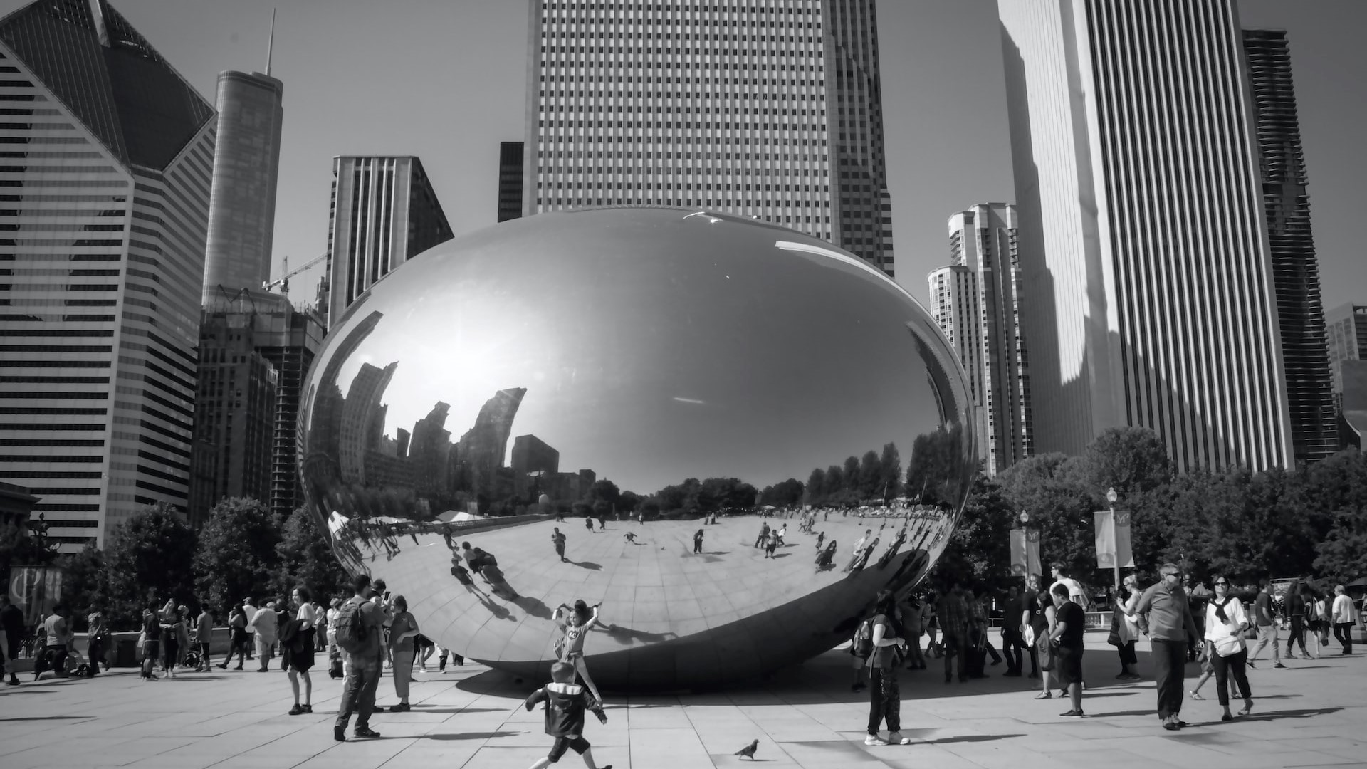 The bean in Illinois | Goodwill Car Donations