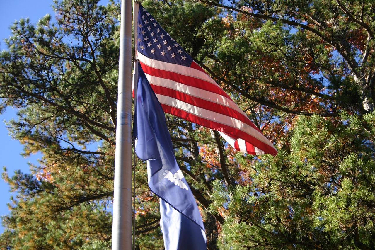 Flags on Pole | Goodwill Car Donations