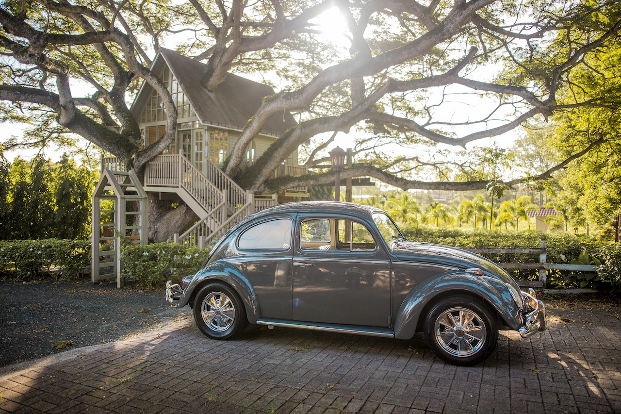 Gray Volkswagen Beetle Parking Near Tree | Goodwill Car Donations