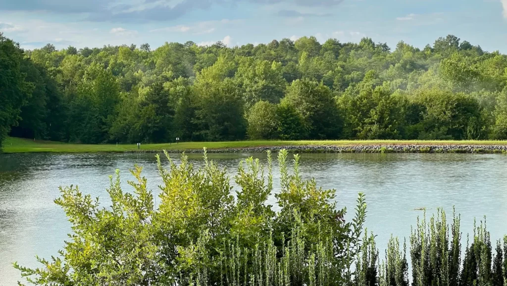 A body of water with trees around it, South Carolina, USA