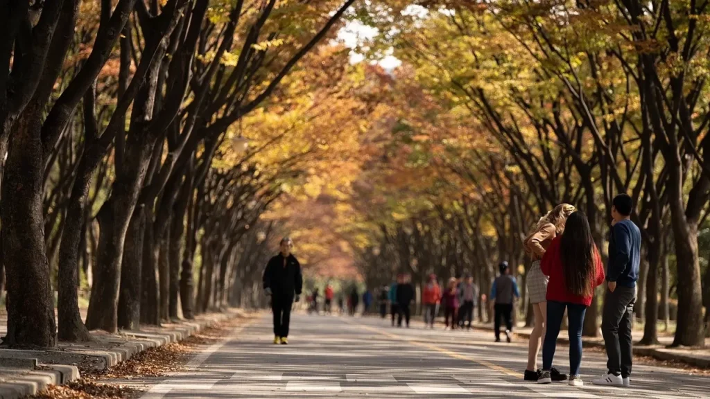 A public park, Maple, Walk image.