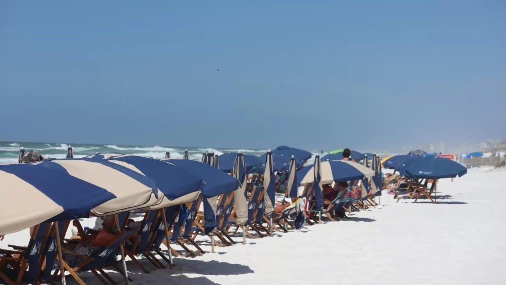 A row of beach chairs and umbrellas on a beach