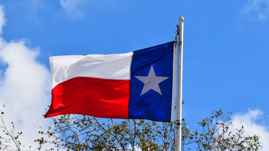 A Texas state flag flying in the wind