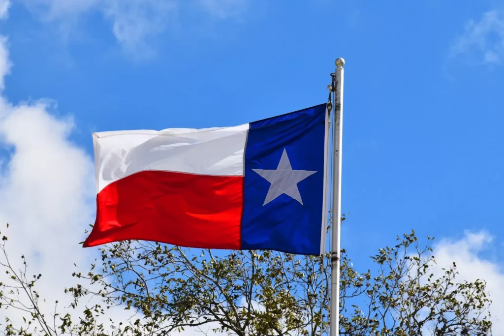 A texas state flag flying in the wind