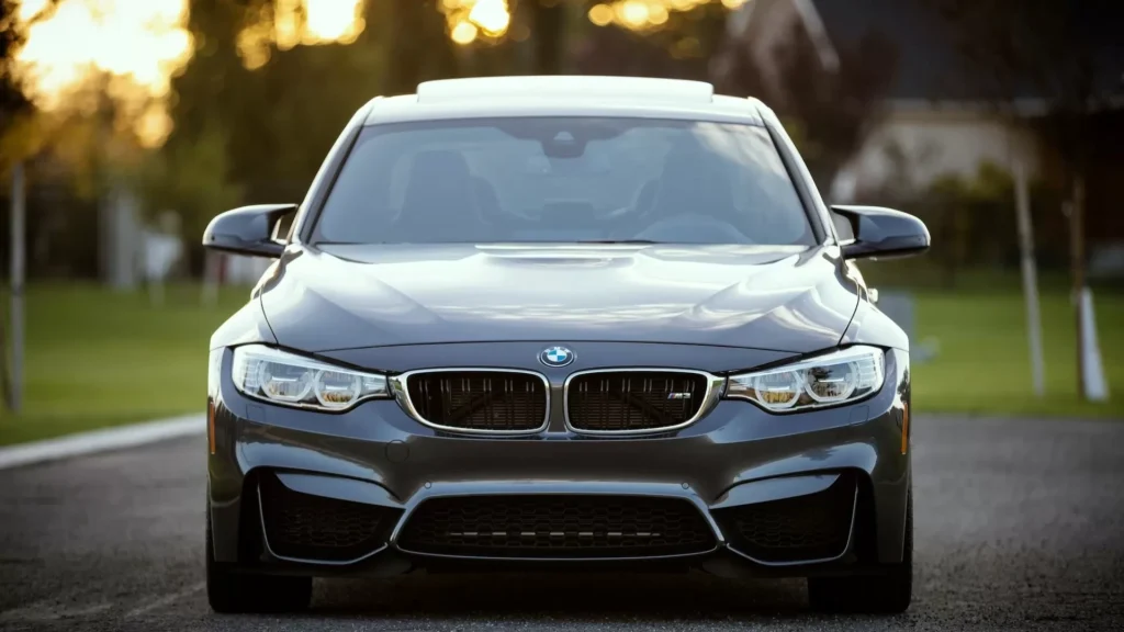 Black BMW car surrounded by grass field