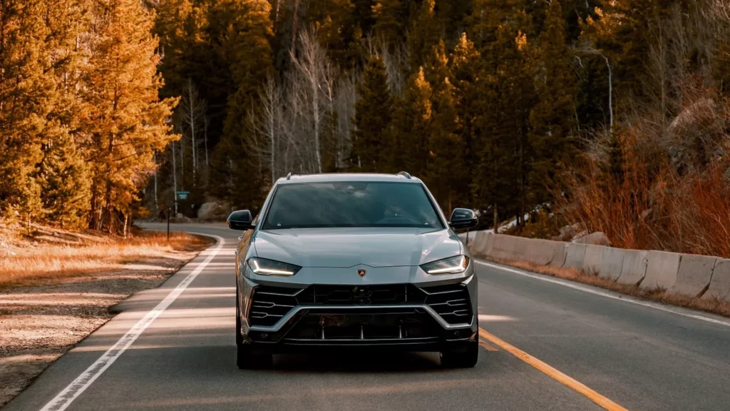 Black car on road between trees during daytime