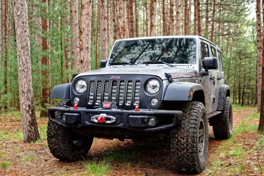 Black Jeep Wrangler in forest at daytime