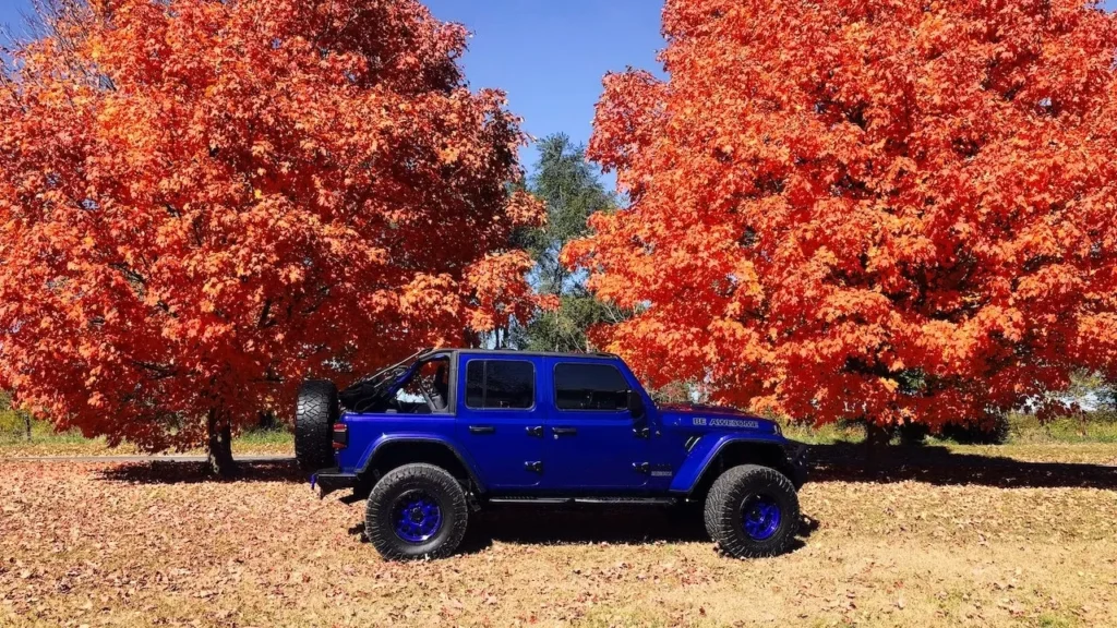 A blue SUV parked in a scenic autumn landscape with colorful orange maple trees