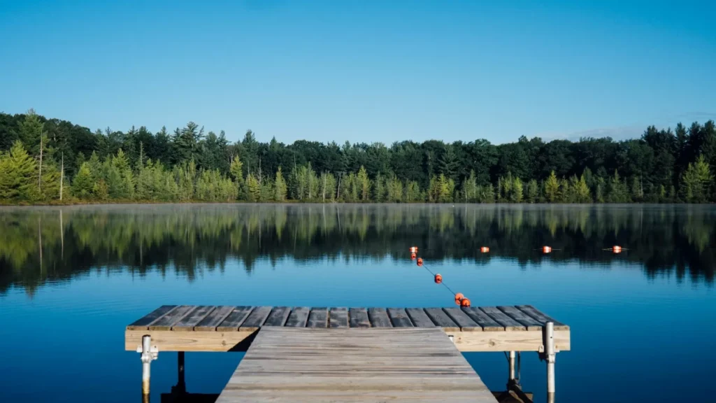 Brown wooden dock near calm body of water surrounded by trees