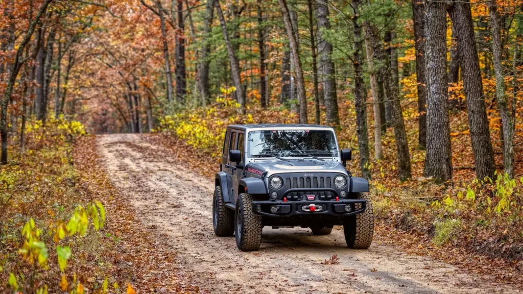 Gray Jeep Wrangler near woods