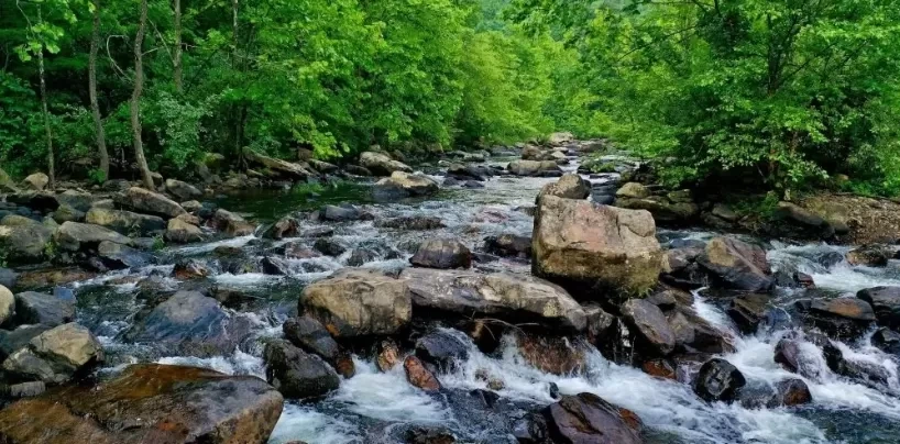 Gray rocks on river during daytime