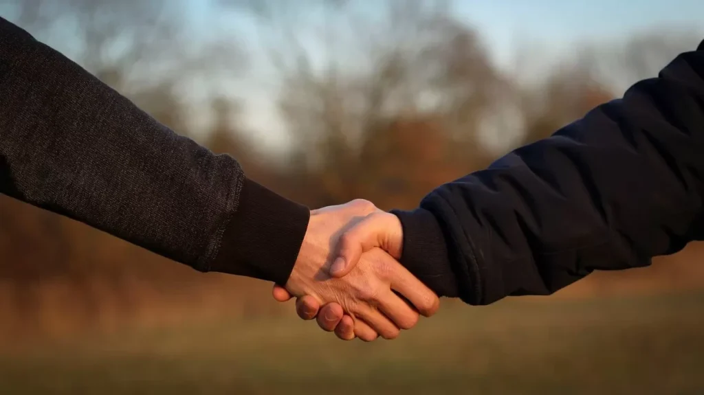Handshake, Hands, Friendship image