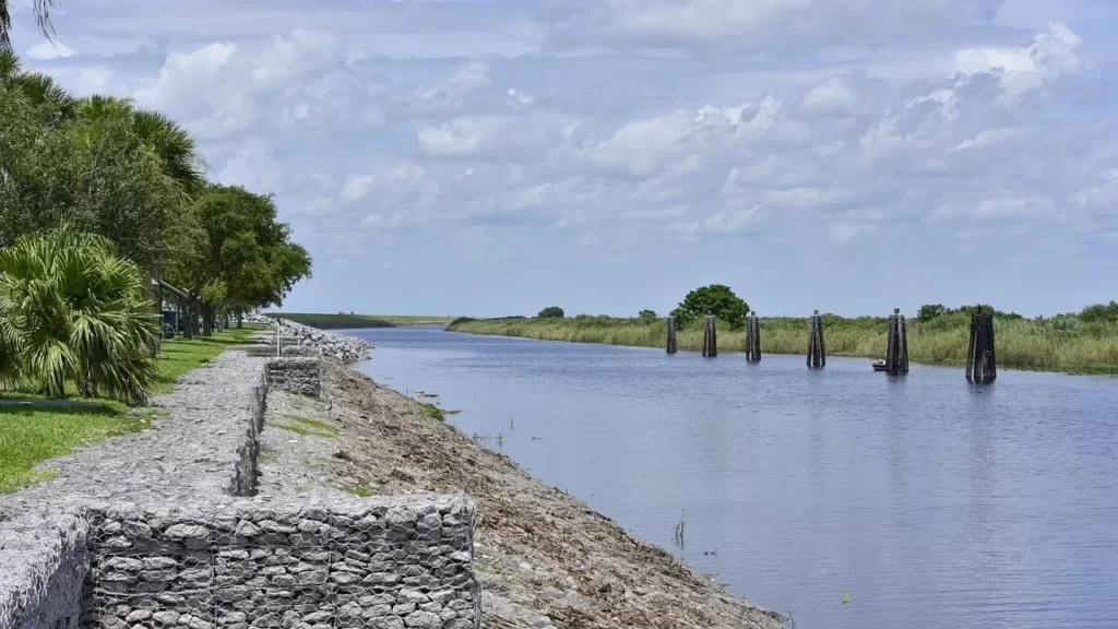 Lake okeechobee, Bass fishing, Shore line image