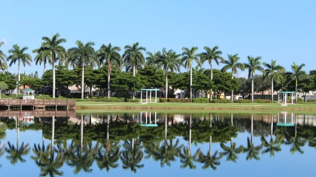 Nature, Palmas, Lake image.