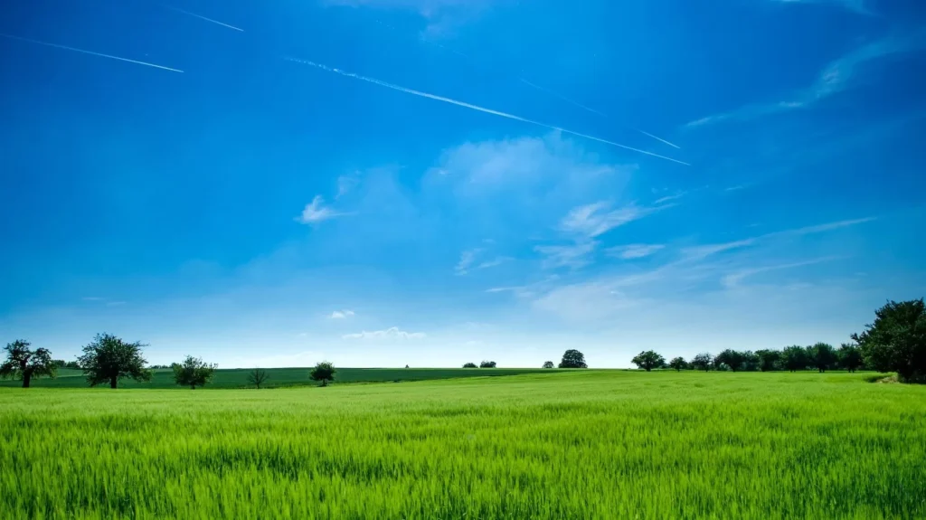 Tranquil rural landscape with lush green field and bright blue sky