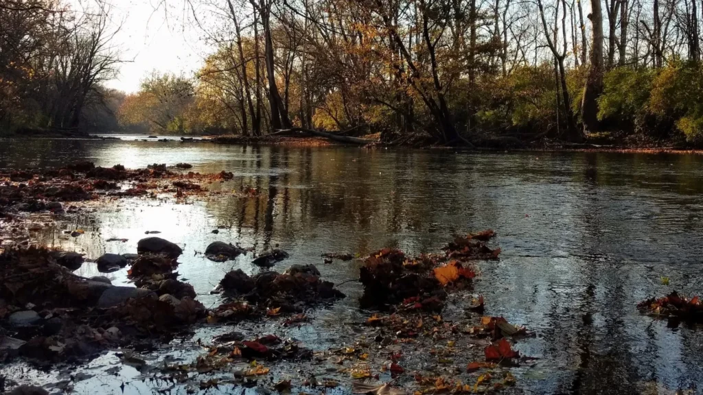 The White River as seen from the banks of a trail in Mounds State Park in Indiana
