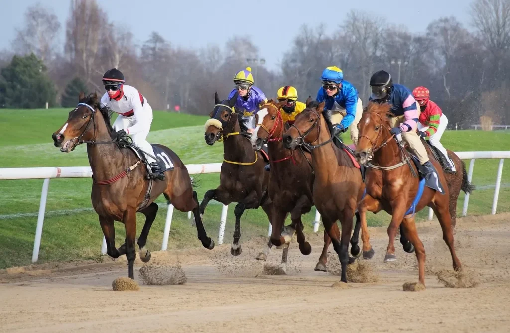 Race track, Horse, Jockey image