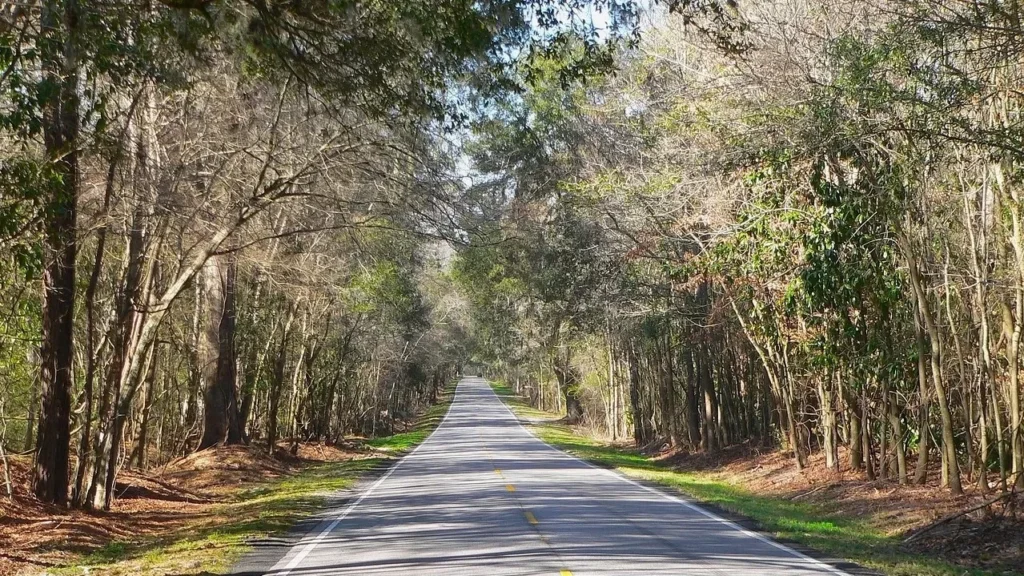 South Carolina, Country, Countryside image