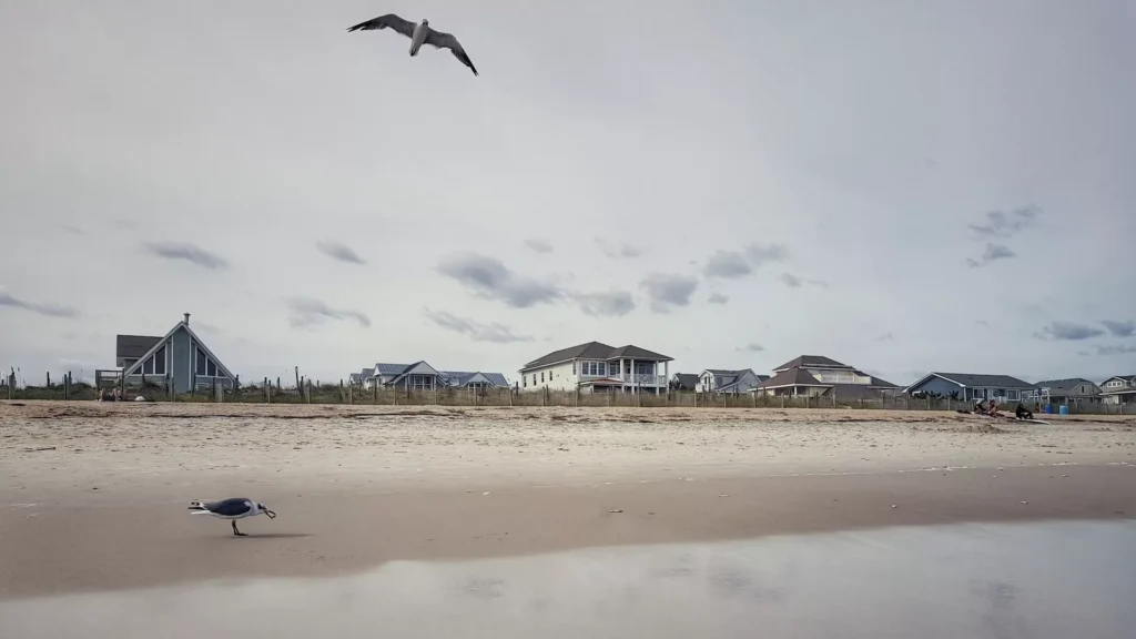 two gray bird near building under gray sky