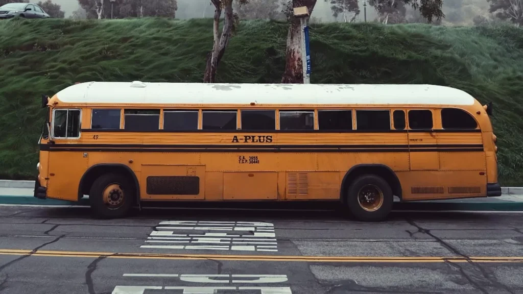 Yellow bus near tree