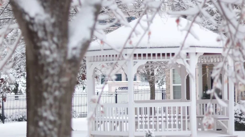 A gazebo in the middle of a snowy yard